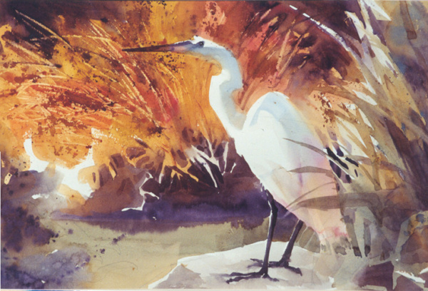 egret fishing