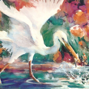 egret fishing