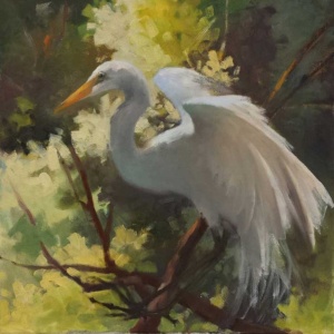 Egret on branch